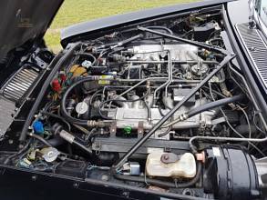 Thumbnail von ダイムラー・ダブルシックス 最終シリーズ ブラック/マグノリア