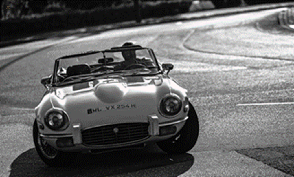 Thumbnail von Jaguar E-Type Bj. 1973