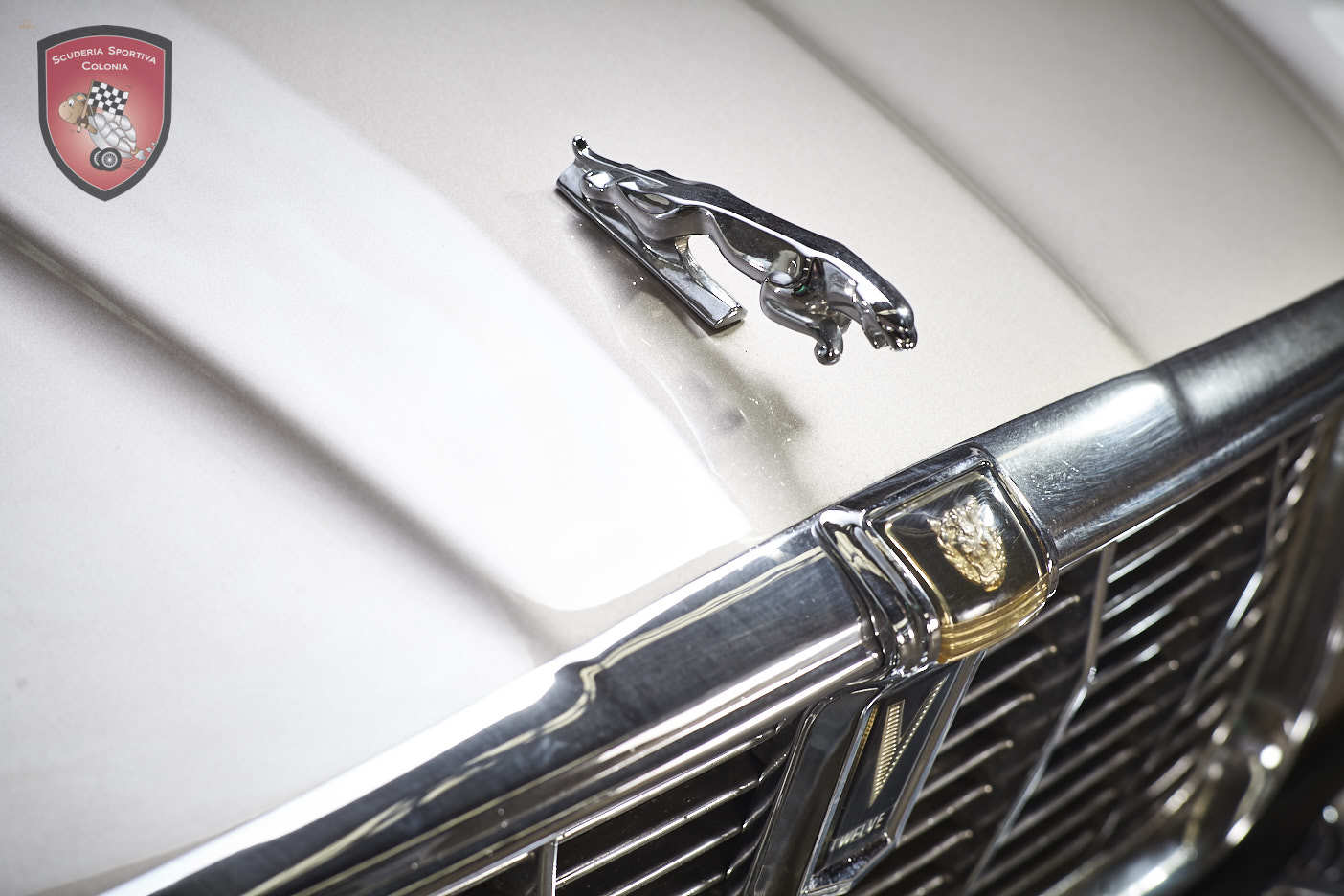 Thumbnail von Jaguar XJ C 5.3 Cabrio