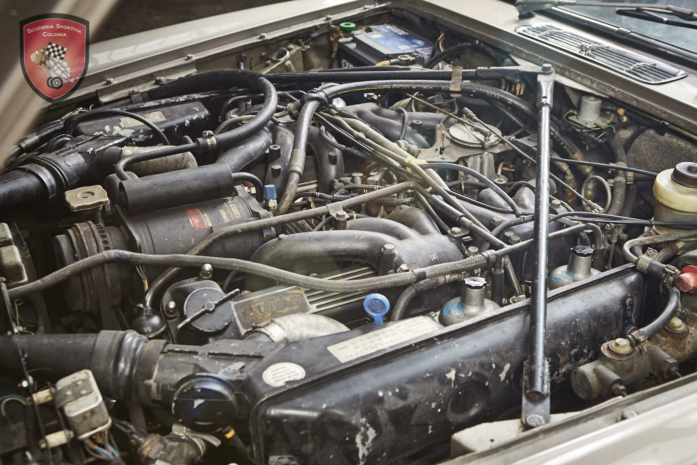 Thumbnail von Jaguar XJ C 5.3 Cabrio