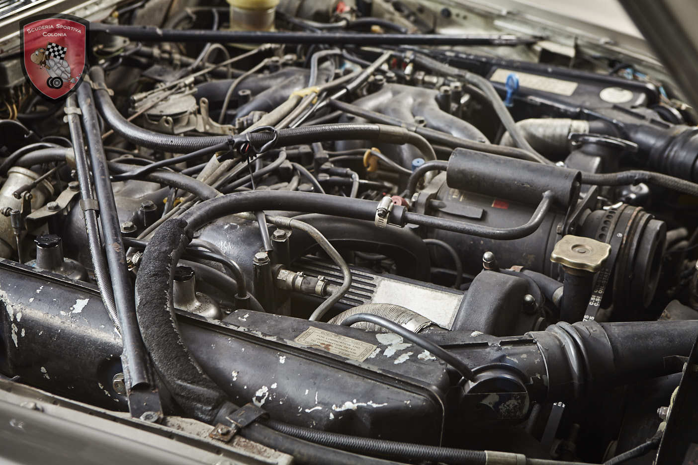 Thumbnail von Jaguar XJ C 5.3 Cabrio