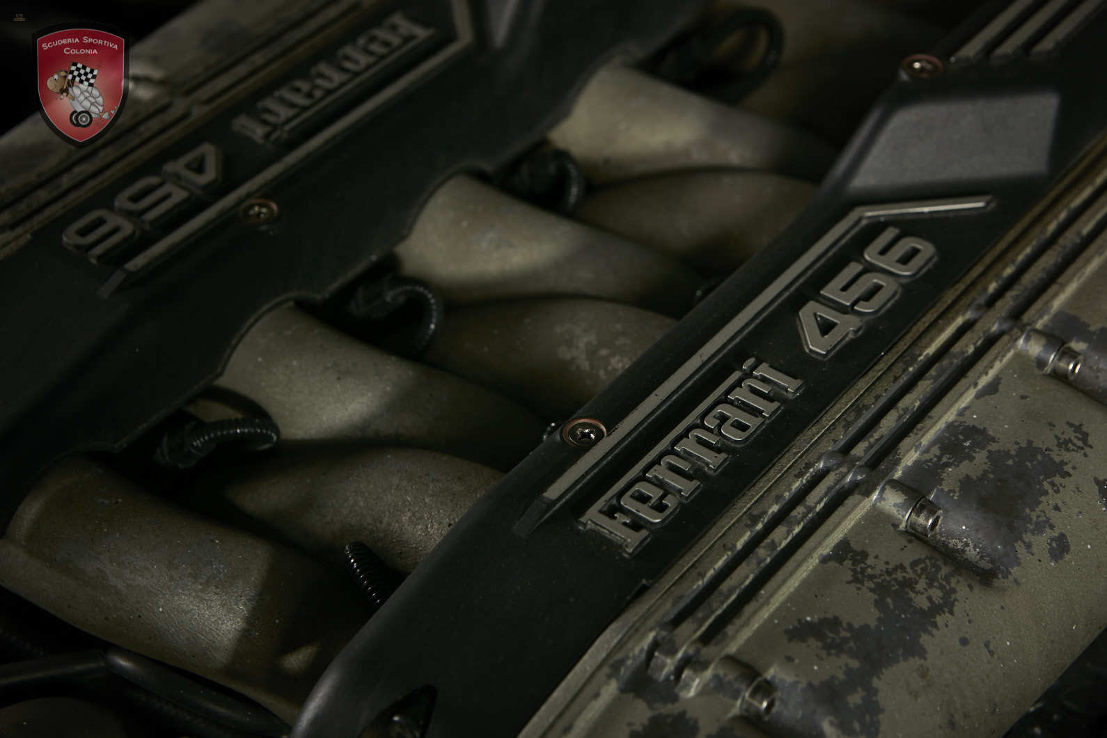 Thumbnail von Ferrari 456 GT