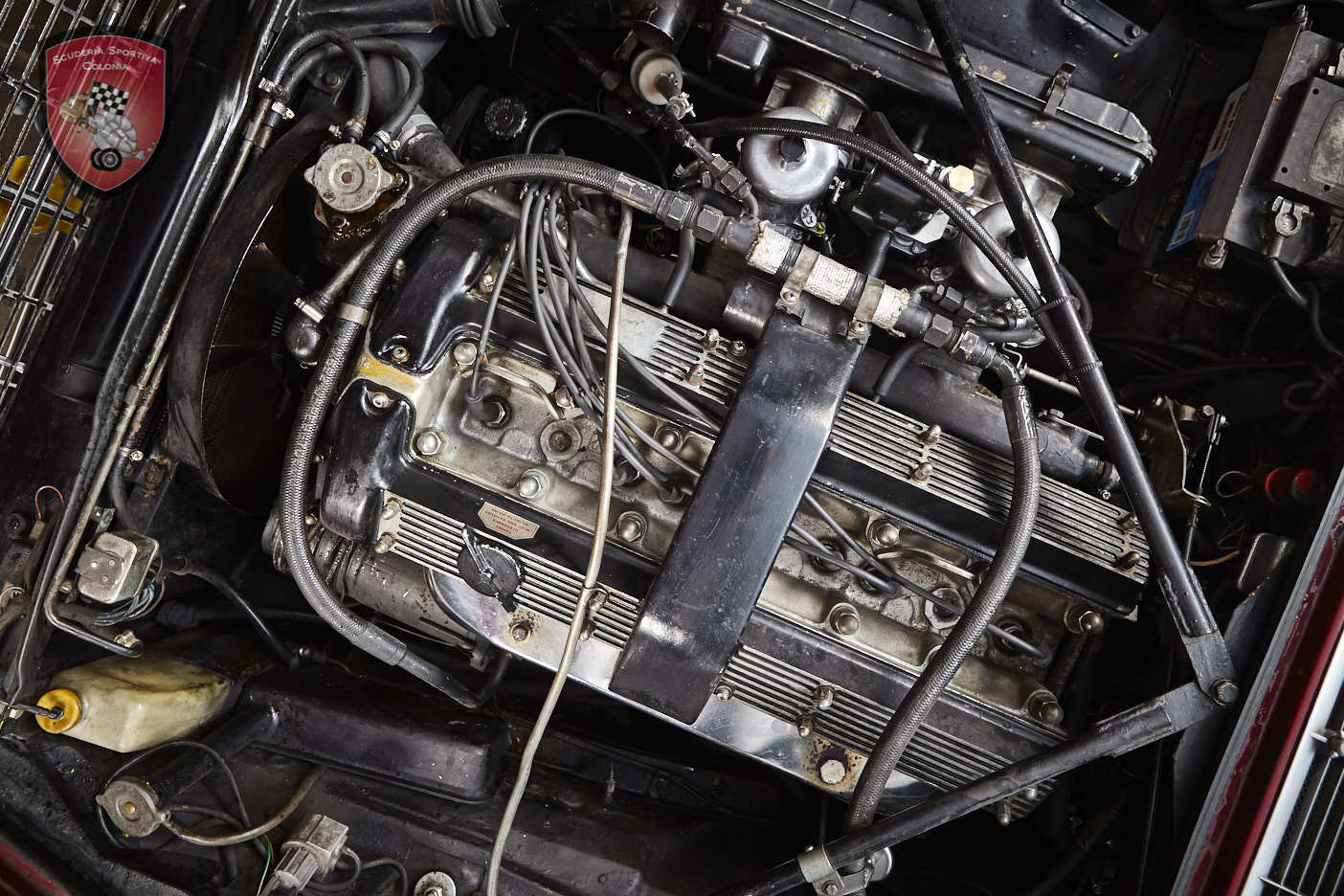 Thumbnail von Jaguar XJ C 4.2 Cabrio