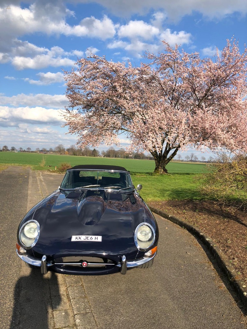 Thumbnail von Jaguar E-Type 4.2 S1