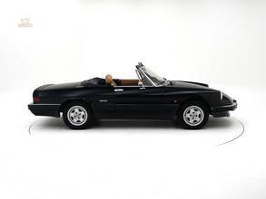 Thumbnail von Alfa Romeo Spider 3 '88