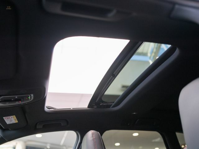 Thumbnail von Audi RS6 Performance,Dynamik+,OptikCarbon,22",305km/h