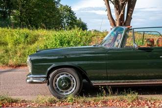 Thumbnail von Mercedes-Benz 250 SE 5.0-V8 Cabriolet