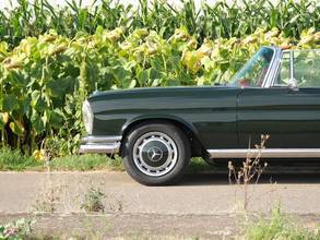 Thumbnail von Mercedes-Benz 250 SE 5.0-V8 Cabriolet