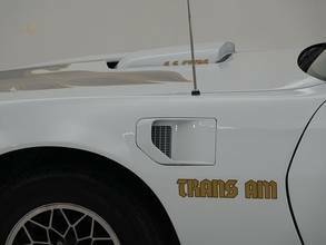 Thumbnail von Pontiac Firebird II Trans AM '81