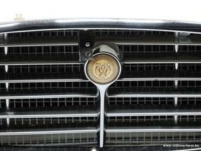 Thumbnail von Jaguar E-Type Series 3 V12 '73