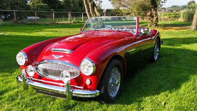 Austin Healey Andere