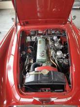 Thumbnail von Austin Healey Andere