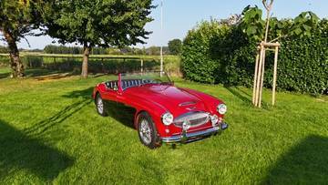 Thumbnail von Austin Healey Andere