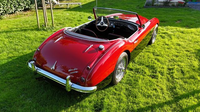 Thumbnail von Austin Healey Andere