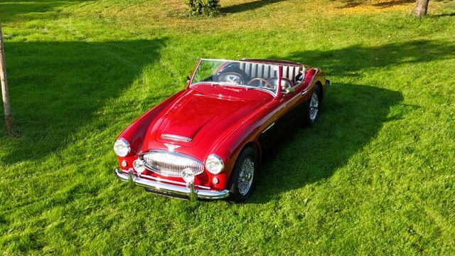 Thumbnail von Austin Healey Andere