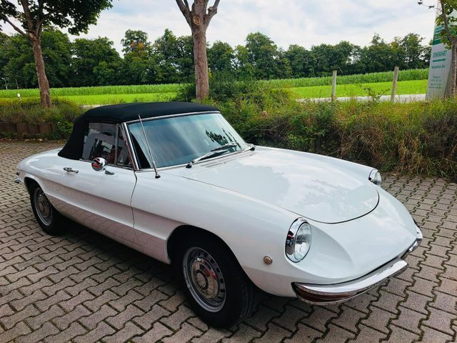 Thumbnail von Alfa Romeo Spider 1750 Duetto - Technique neu- H-Kz.