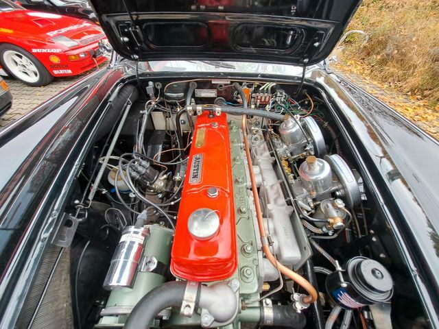 Thumbnail von オースティン・ヒーリー A H 100/6 BN4 2+2 -完全レストア済み！