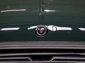 Thumbnail von Mini  Woody Countryman '69