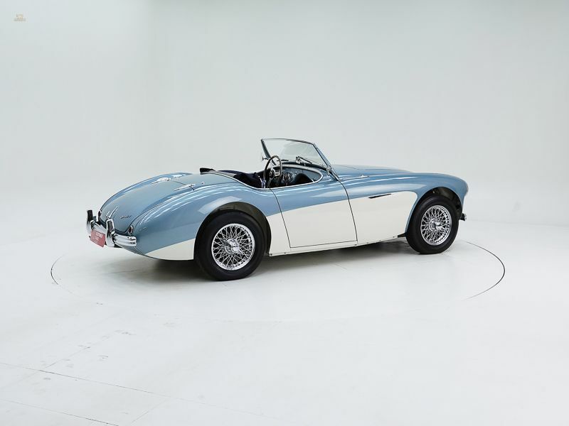 Thumbnail von Austin Healey 100/4 BN 1 '54