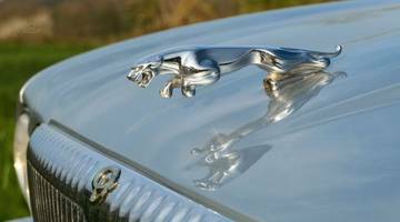 Thumbnail von Jaguar Daimler Double Six Kurzversion 3 Jahre Garantie