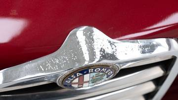 Thumbnail von Alfa Romeo 1600 Giulia GTC '66