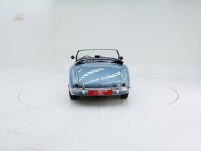 Thumbnail von Austin Healey 100/4 BN 1 '54