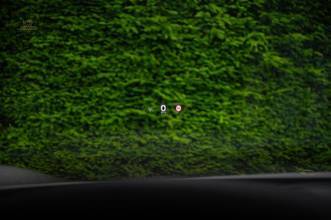 Thumbnail von Porsche Taycan Sport Turismo GTS|CarbonExt|Inno|HUD|HAL