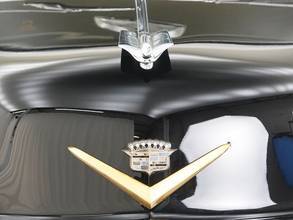 Thumbnail von Cadillac Fleetwood Series 62 Limousine '53