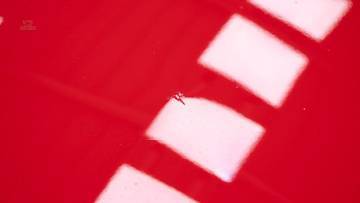 Thumbnail von MG A 1600 '59