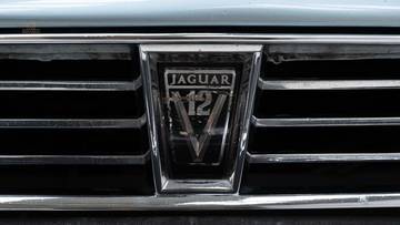 Thumbnail von Jaguar XJS V12 Convertible '90
