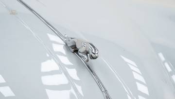 Thumbnail von Jaguar XK 150 SE DHC '61
