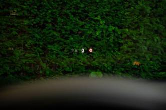 Thumbnail von Porsche Taycan 4S SportDesign |1.Hd|HUD|BeiDis|NaSi|PDCC