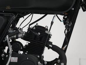 Thumbnail von Archive Scrambler 50cc '2024