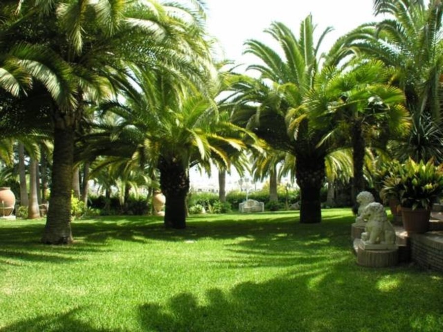 Thumbnail von Luxus-Villa in Nagüeles R83058