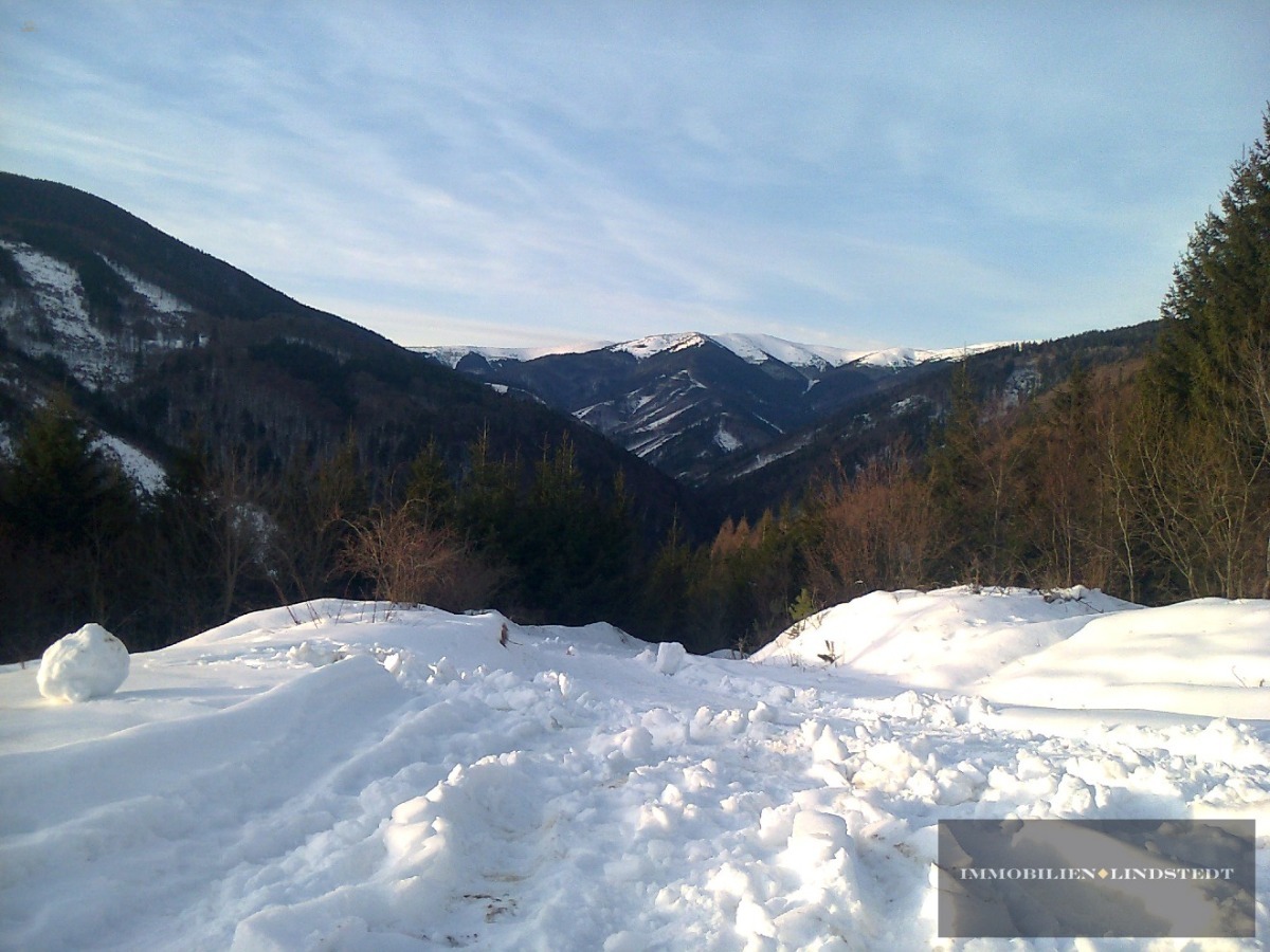 Thumbnail von immobilien-lindstedt.de / INVESTOREN HERGEHÖRT! WERTVOLLES AREAL MIT ÄUßERST VIEL POTENZIAL!