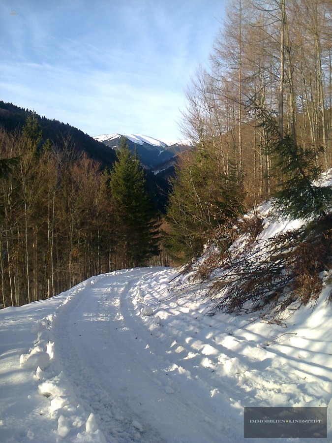 Thumbnail von immobilien-lindstedt.de / INVESTOREN HERGEHÖRT! WERTVOLLES AREAL MIT ÄUßERST VIEL POTENZIAL!