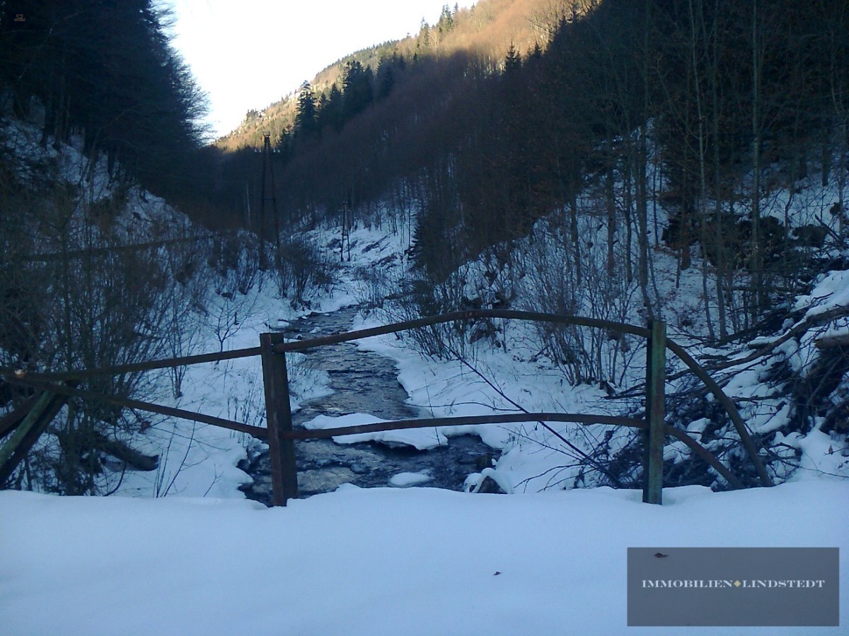 Thumbnail von immobilien-lindstedt.de / INVESTOREN HERGEHÖRT! WERTVOLLES AREAL MIT ÄUßERST VIEL POTENZIAL!