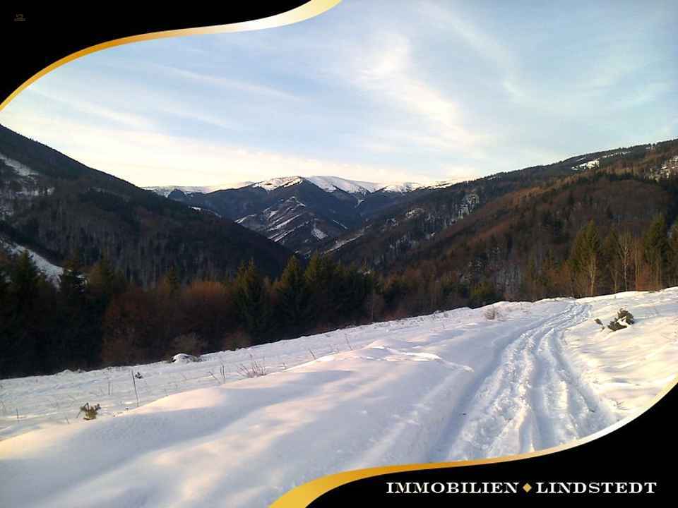 immobilien-lindstedt.de / INVESTOREN HERGEHÖRT! WERTVOLLES AREAL MIT ÄUßERST VIEL POTENZIAL!