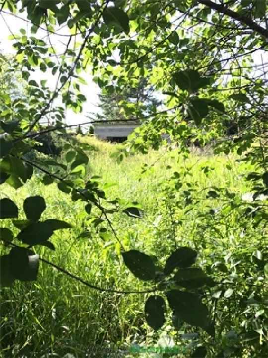 Ihr Hausbauplatz an der Ostsee