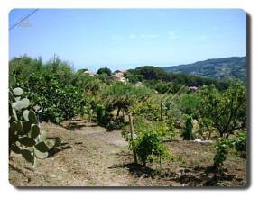 Thumbnail von Immogold Villetta mitten im Madoniepark, ca. sieben Kilometer oberhalb von Cefalu