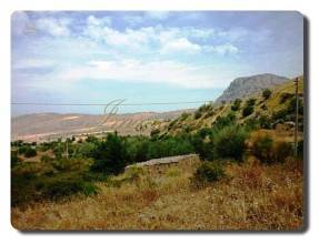 Thumbnail von Casa plus kleines Rustico und Meerblick