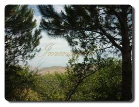 Thumbnail von Casa plus kleines Rustico und Meerblick