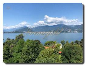 Thumbnail von Aparte zwei Zimmer Wohnung in sonniger Lage