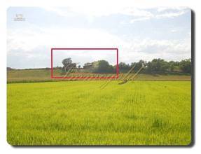 Thumbnail von Immogold Landhaus in Panorama- und sonniger Lage