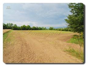 Thumbnail von Immogold Landhaus in Panorama- und sonniger Lage