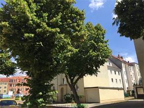 Thumbnail von Renditestarkes MFH in zentraler Lage zum Festpreis