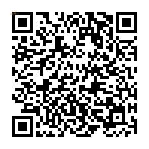 Thumbnail von ***Neubauvilla Olivia mit Privatzugang zum Strand***