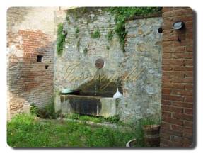 Thumbnail von Immogold L-förmiges piemontesisches Bauernhaus