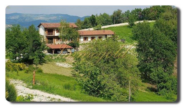 Immogold, gepflegtes Landhaus in schöner Lage, nahe den Weinbergen und Alba
