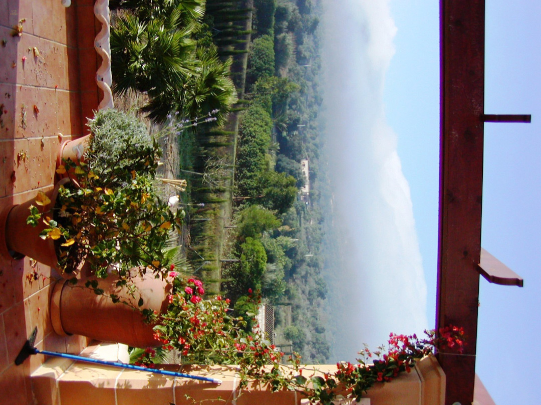 Thumbnail von Finca SonJorge